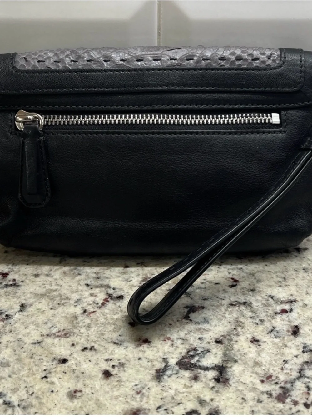 Coach Pinnacle Embossed Python Exotic Color Block Clutch/Wristlet EUC